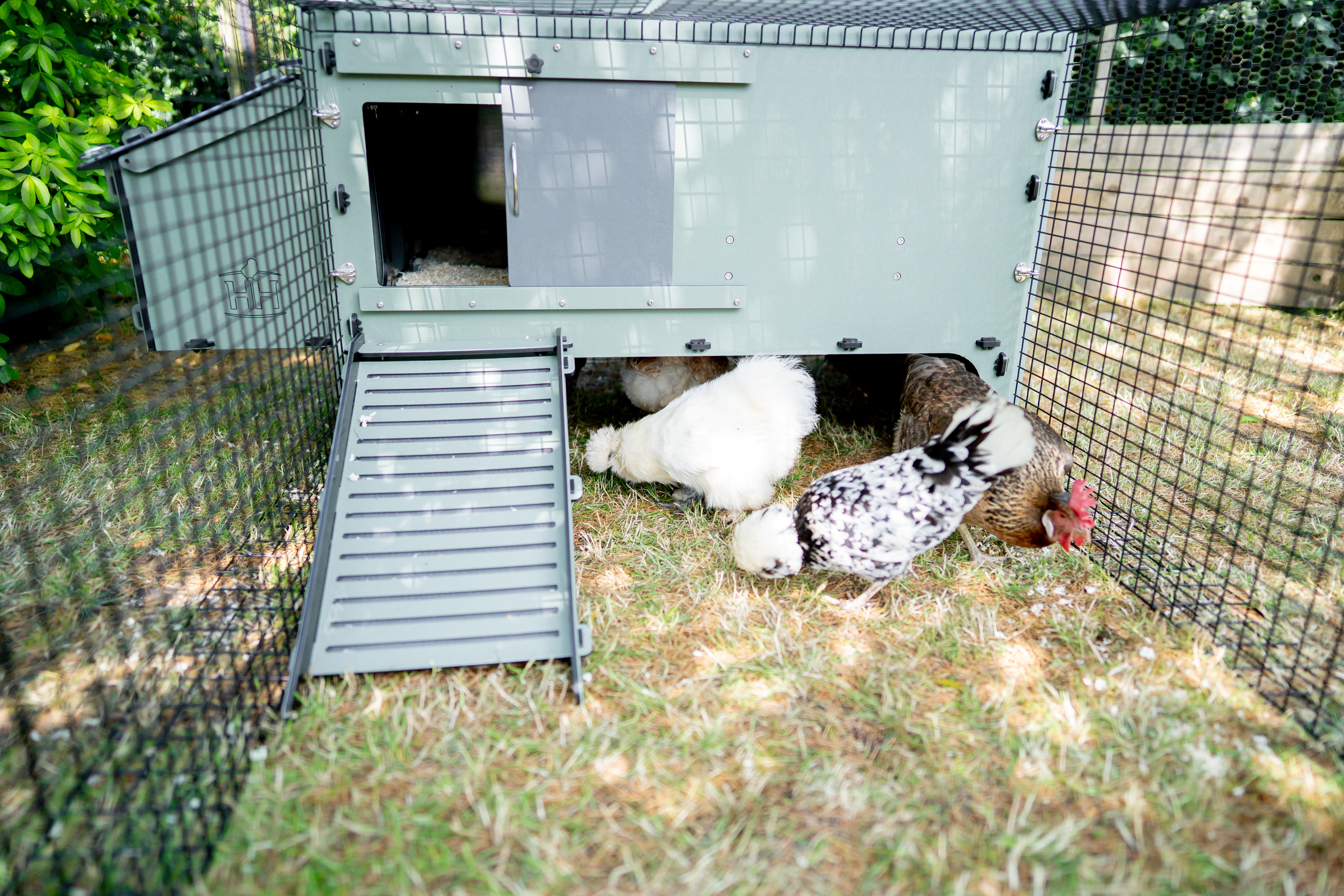Hoover's Hatchery Lean-To Easy Clean Chicken Coop