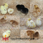 Picture of Egg Production Pack