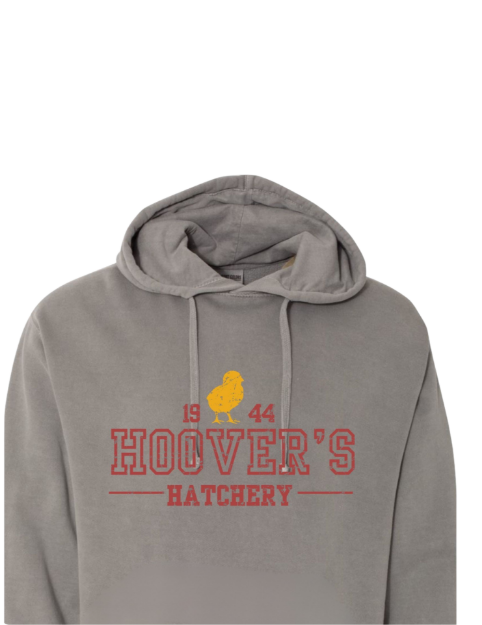 Picture of University Hoodie