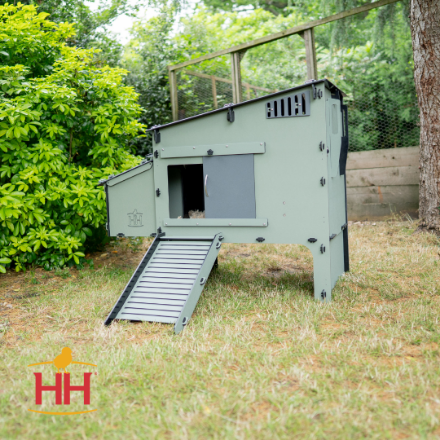 Picture of Lean-To Easy Clean Chicken Coop Web, 6 Chicken Capacity
